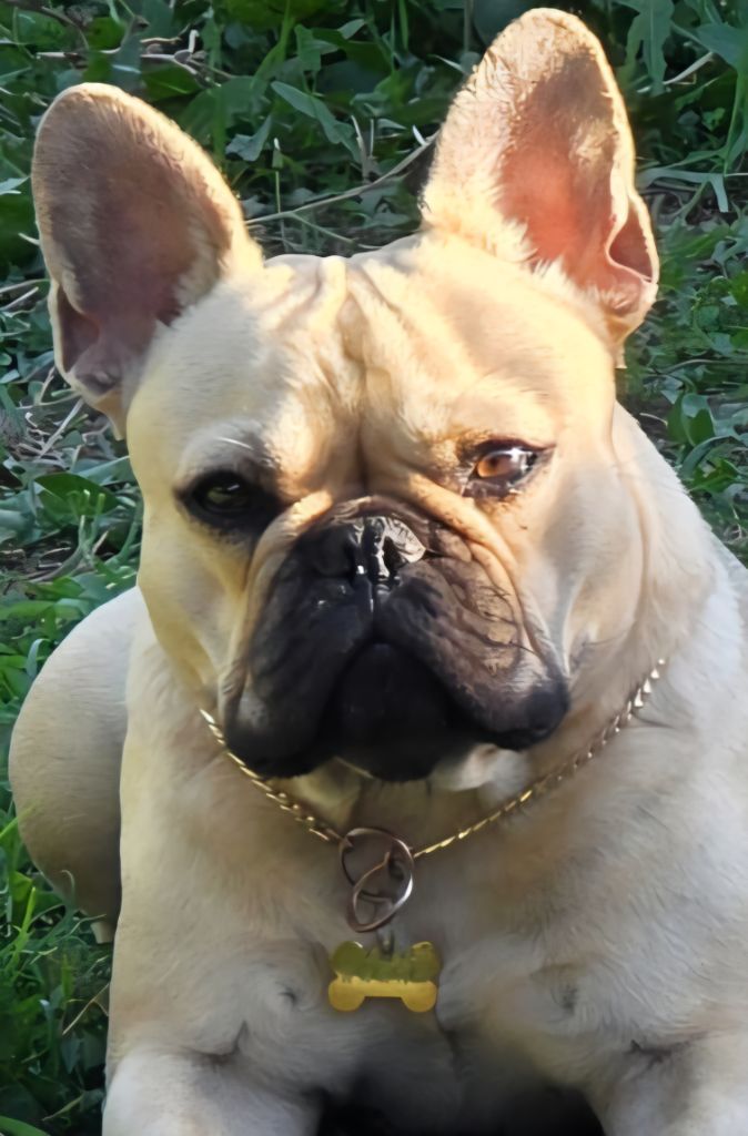 Victorine de la Maison